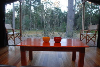 Worrowing At Jervis Bay - Surfers Gold Coast 50