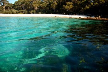 Worrowing At Jervis Bay - Surfers Gold Coast 98