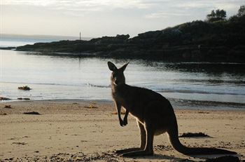 Worrowing At Jervis Bay - Surfers Gold Coast 35