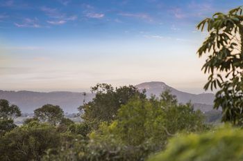 Eden Lodge - Surfers Gold Coast 30