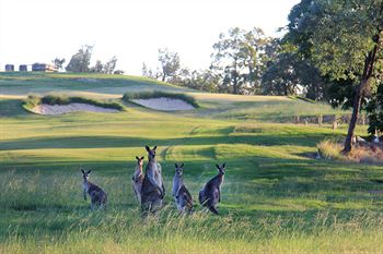 Riverside Oaks Golf Resort - Surfers Gold Coast 1