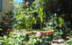 Kurrara Historic Guest House - thumb 16