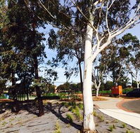 Box Hill Studios at Canterbury Gardens - Surfers Gold Coast
