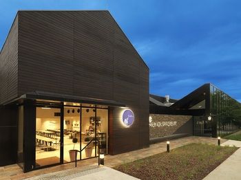 Vibe Hotel Marysville - Surfers Gold Coast 3