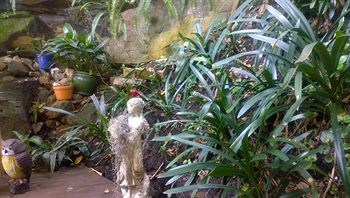 Linley House Bed & Breakfast - Surfers Gold Coast 4