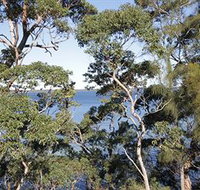 The Edgewater Bed amp Breakfast - Surfers Gold Coast