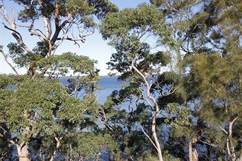 The Edgewater Bed & Breakfast - Surfers Gold Coast 0