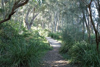 The Edgewater Bed & Breakfast - Surfers Gold Coast 21
