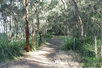 The Edgewater Bed & Breakfast - Surfers Gold Coast 22