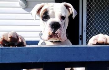 South Coast Retreat - Surfers Gold Coast 20