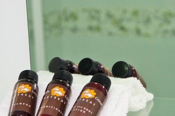 South Coast Retreat - Surfers Gold Coast 36