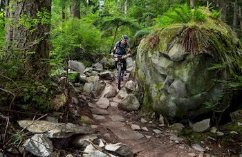 Mountain Element Retreats - Surfers Gold Coast 9