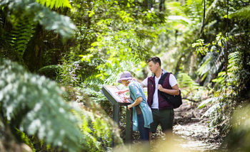 Mountain Element Retreats - Surfers Gold Coast 10