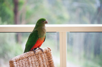 Mountain Element Retreats - Surfers Gold Coast 13