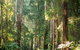 Mountain Element Retreats - thumb 15