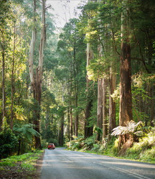 Mountain Element Retreats - Surfers Gold Coast 15