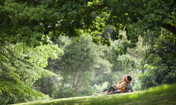 Mountain Element Retreats - Surfers Gold Coast 16