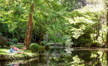 Mountain Element Retreats - Surfers Gold Coast 17