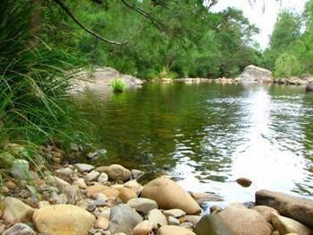 Riverwood Downs Mountain Valley Resort - Surfers Gold Coast 9