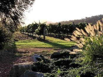 Forrest Hills Ridge - Surfers Gold Coast 3