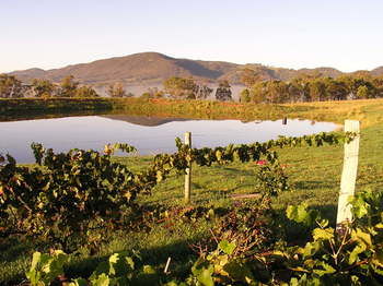 Forrest Hills Ridge - Surfers Gold Coast 9