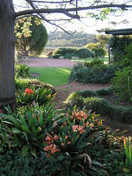 Forrest Hills Ridge - Surfers Gold Coast 11
