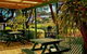 Shelly Beach Holiday Park - thumb 8