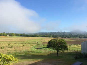 Eumundi Gridley Homestead B&B - Surfers Gold Coast 6
