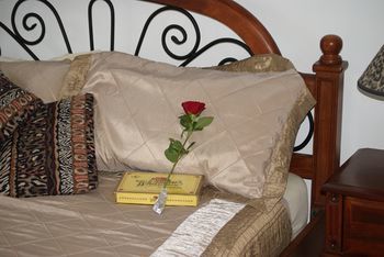 Kingfishers Manor @ Noosa - Surfers Gold Coast 16