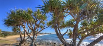 Alex Beach Cabins - Surfers Gold Coast 1