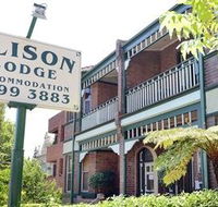 Alison Lodge - Surfers Gold Coast