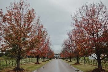 The Convent Hunter Valley - Surfers Gold Coast 49
