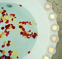 Avoca Valley Bed amp Breakfast - Surfers Gold Coast