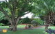 Tanglewood Gardens - thumb 1
