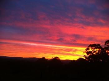 Rothbury Escape - Surfers Gold Coast 11