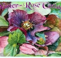 A Winter-rose Cottage BampB - Surfers Gold Coast