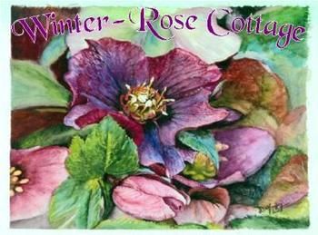 A Winter-rose Cottage B&B - Surfers Gold Coast 0