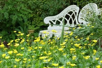 A Winter-rose Cottage B&B - Surfers Gold Coast 4