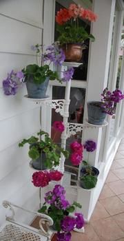 A Winter-rose Cottage B&B - Surfers Gold Coast 5