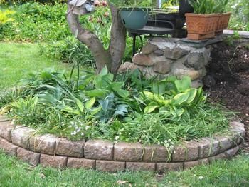A Winter-rose Cottage B&B - Surfers Gold Coast 6