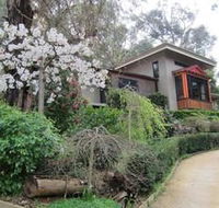 Cherryblossom BampB - Surfers Gold Coast
