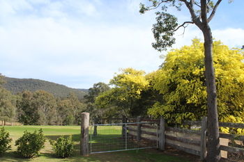 Elfin Hill Country Accommodation - Surfers Gold Coast 6
