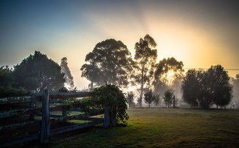 Elfin Hill Country Accommodation - Surfers Gold Coast 10