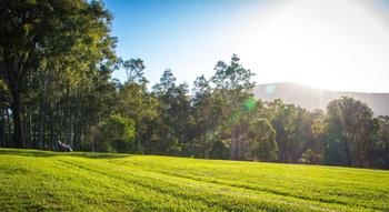 Elfin Hill Country Accommodation - Surfers Gold Coast 18