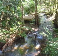 Treetops Accommodation Montville - Surfers Gold Coast