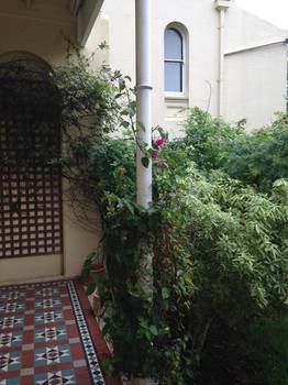 Verona Guest House - Surfers Gold Coast 7