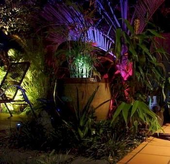 Tantarra Bed And Breakfast - Surfers Gold Coast 4