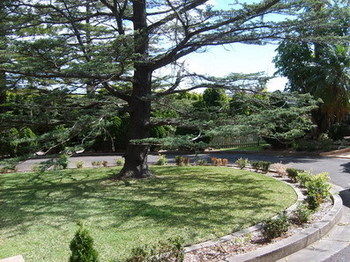 Tantarra Bed And Breakfast - Surfers Gold Coast 14