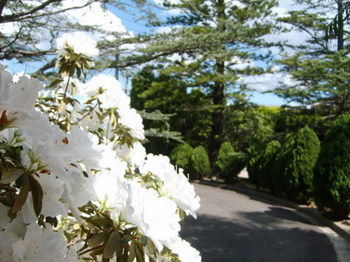 Tantarra Bed And Breakfast - Surfers Gold Coast 15