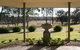 Hunter Valley Bed & Breakfast - thumb 5